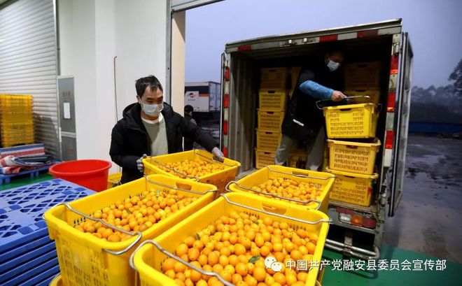 金桔電商復工，為疫情防控注入“新鮮”力量
