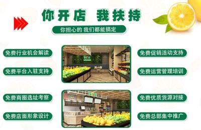 果e站水果便利店 新鮮水果零售的新趨勢與實踐