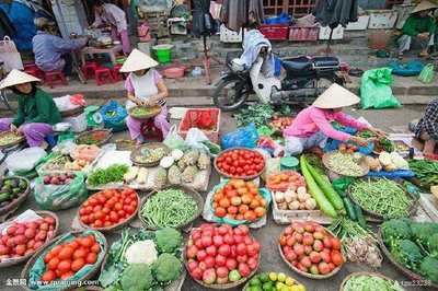 菜場里的財富密碼 大媽擺攤月入過萬，下午自由引白領艷羨